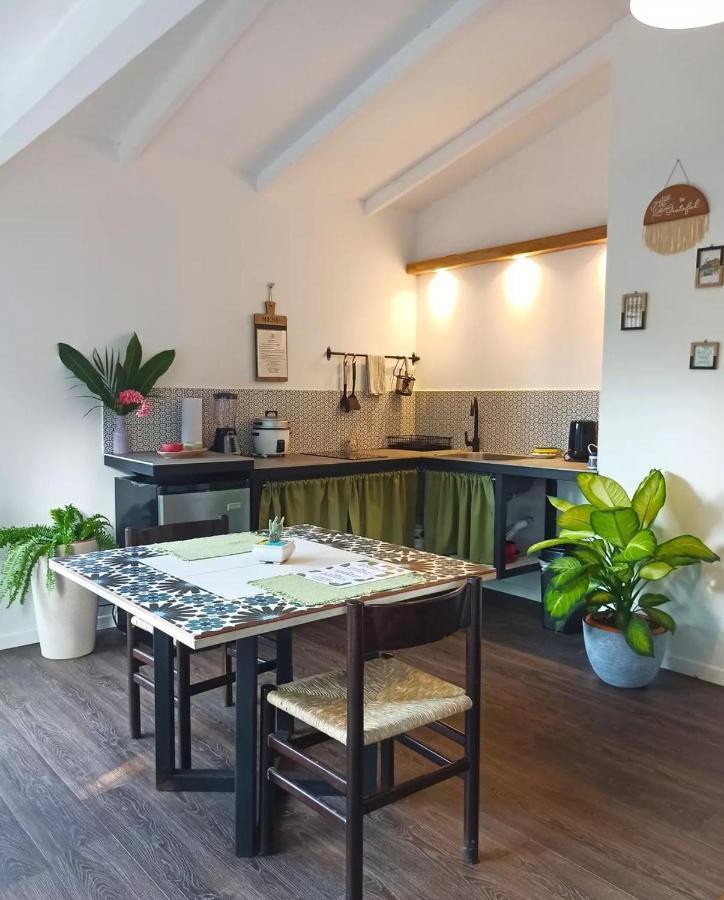 Puerto Viejo de Talamanca Chilamate Holiday House מראה חיצוני תמונה