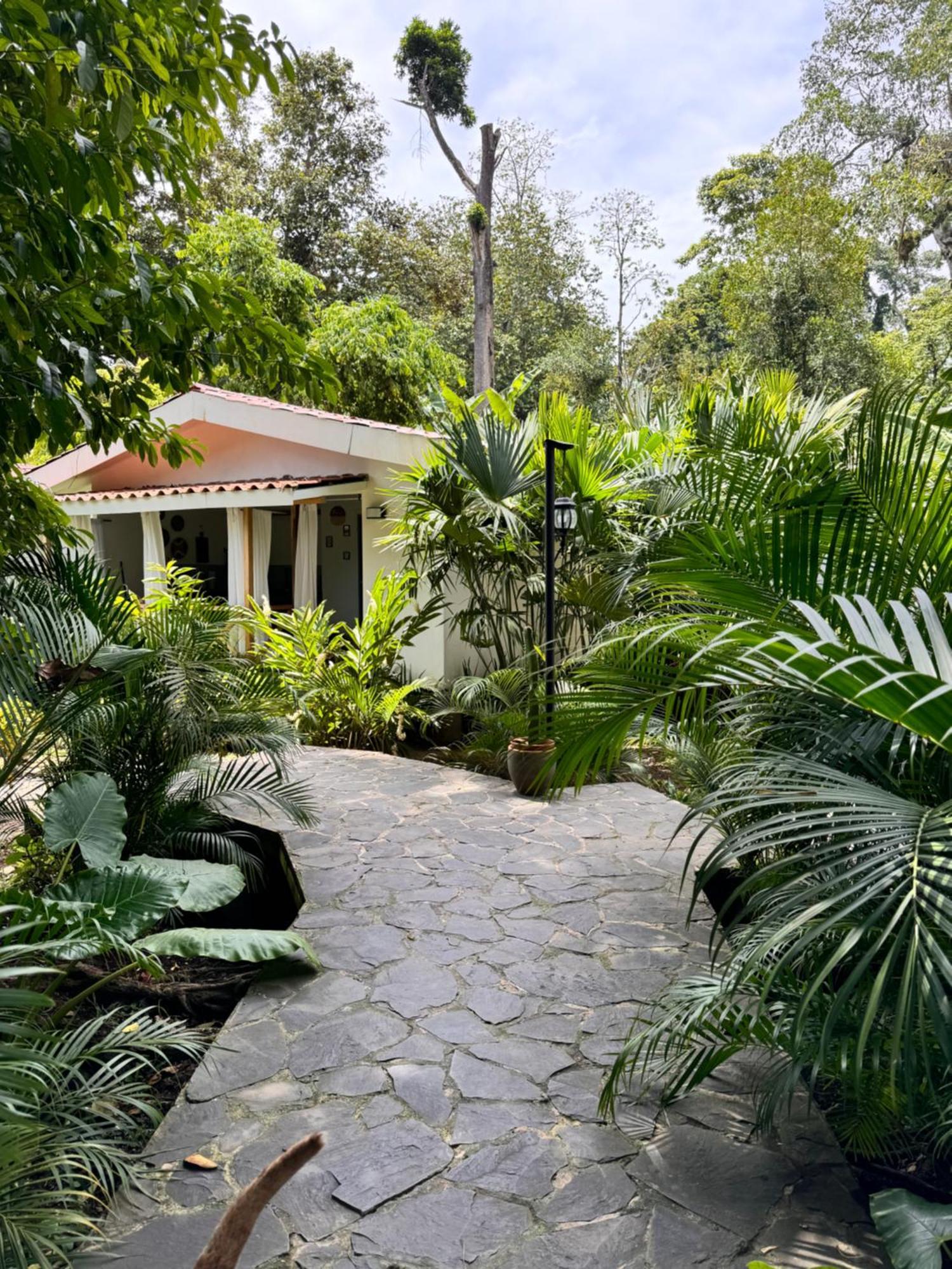 Puerto Viejo de Talamanca Chilamate Holiday House מראה חיצוני תמונה