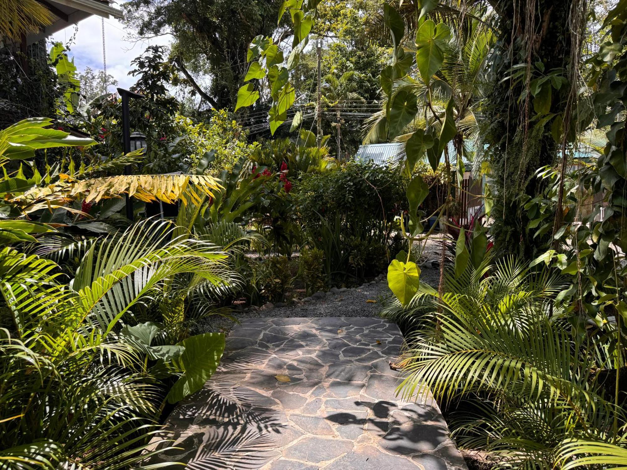 Puerto Viejo de Talamanca Chilamate Holiday House מראה חיצוני תמונה