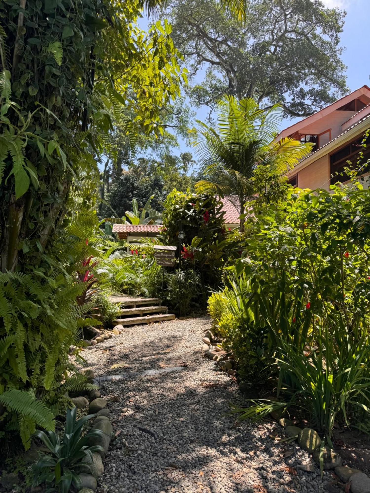 Puerto Viejo de Talamanca Chilamate Holiday House מראה חיצוני תמונה